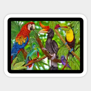 Rainforest Birds Sticker